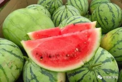 今日吃瓜地址,探寻幕后真相